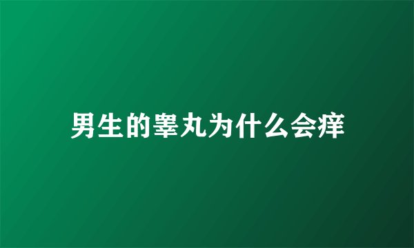男生的睾丸为什么会痒
