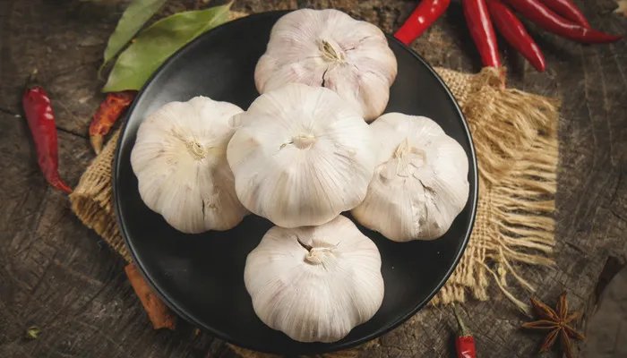 蒜米是什么 蒜米是什么东西