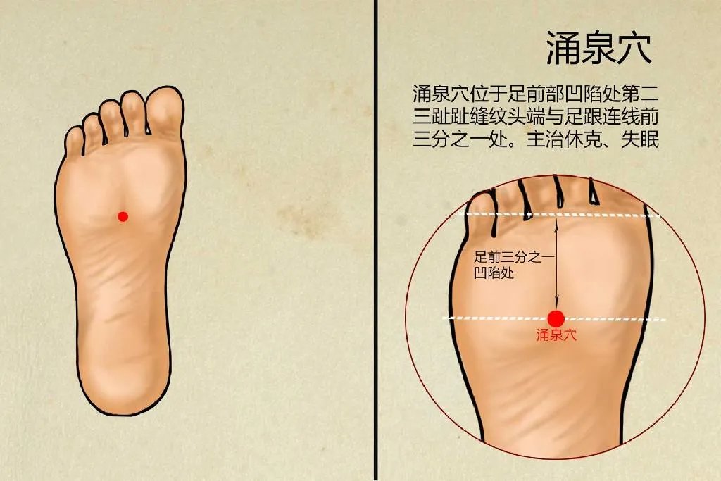 涌泉的准确位置图 图解女