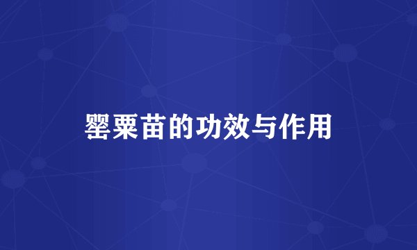 罂粟苗的功效与作用