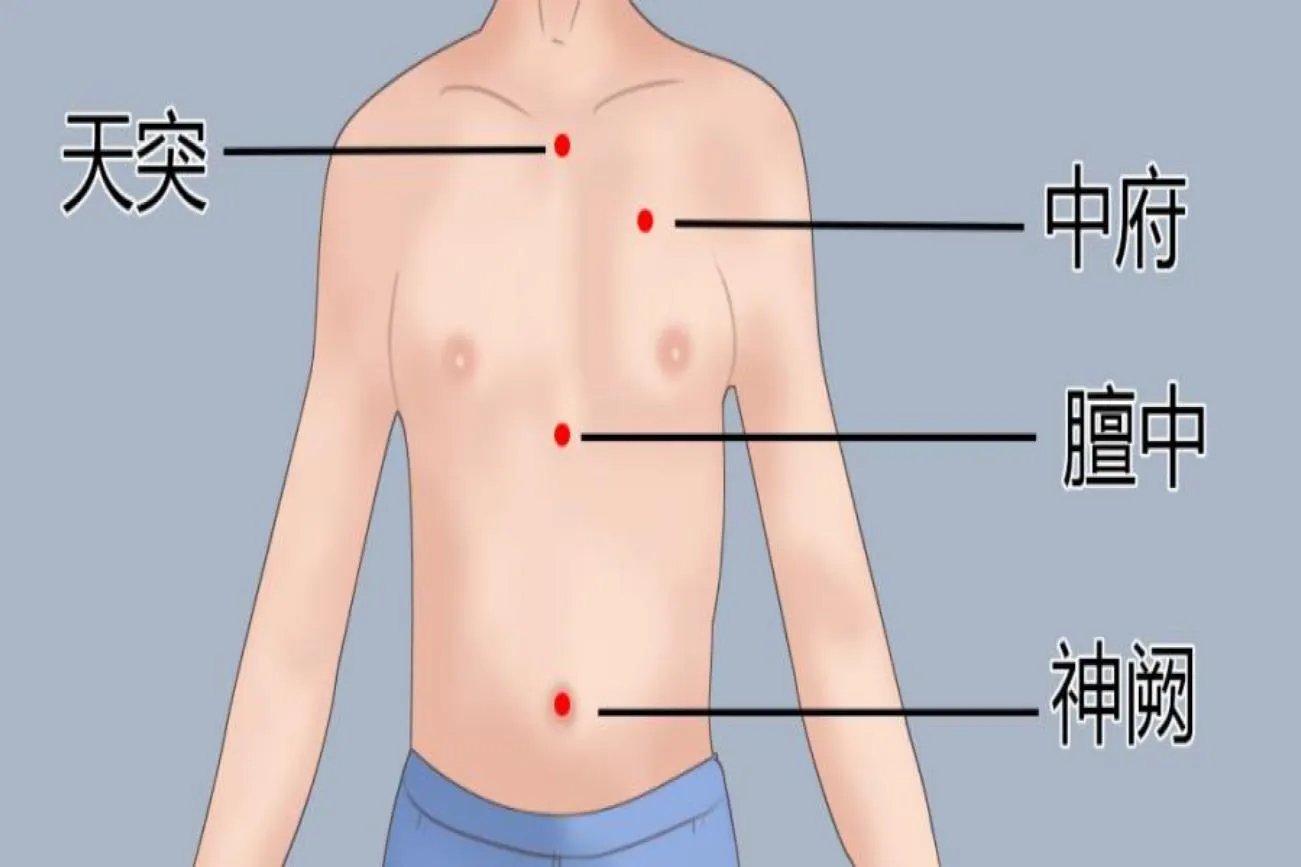 三伏贴过敏性鼻炎贴敷部位图