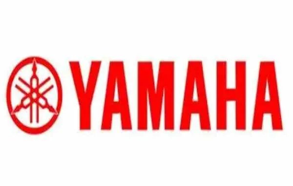 电动车十大品牌排行,质量最好的电动车品牌