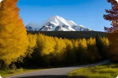 抵垒政策有何意义?