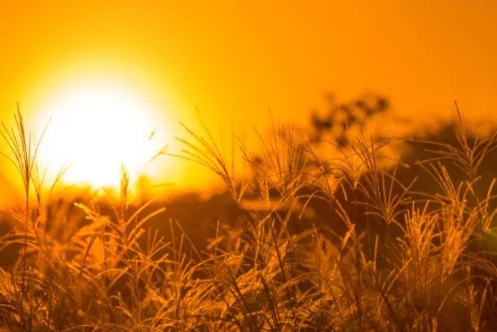 夕阳西沉的时间 夕阳西沉是什么时候