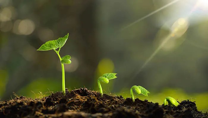 2022立春是几月几日 2022年立春是什么时候