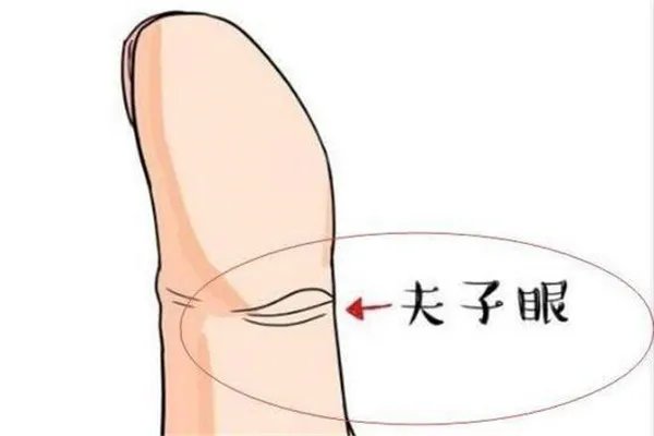 夫子眼分大小吗 给运势带来影响和大小无关（吉祥象征）