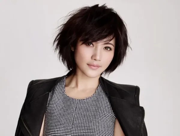 颜丙燕演过的所有电视剧