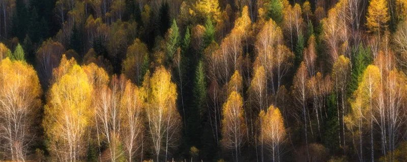 scenery可数吗