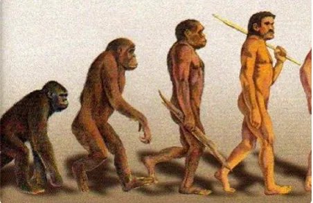 人类的祖先是什么？