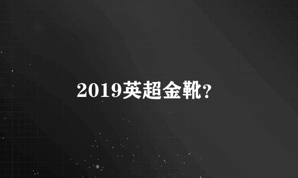 2019英超金靴？