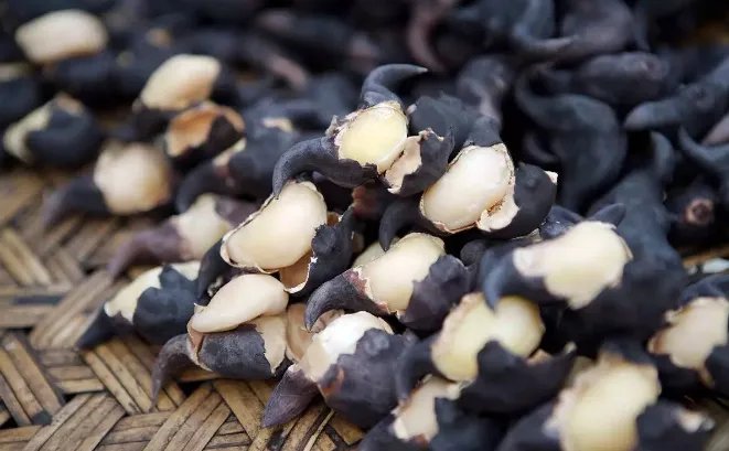 中秋节必吃的九种食物：月饼上榜，南瓜源于美好传说