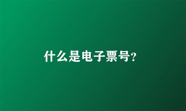 什么是电子票号？