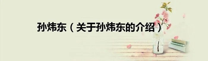 孙炜东（关于孙炜东的介绍）