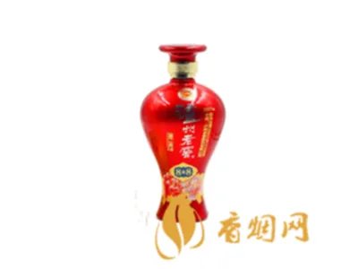 沈怡方是什么人?详解这位知名女企业家的成功之路