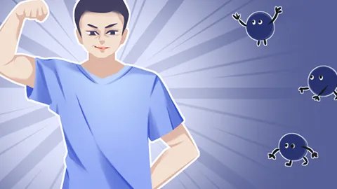 蚂蚁粉有什么功效