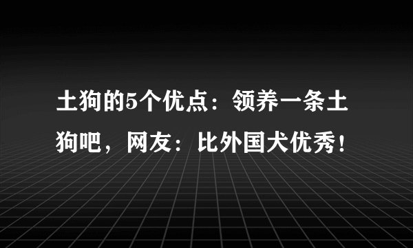 土狗的5个优点：领养一条土狗吧，网友：比外国犬优秀！