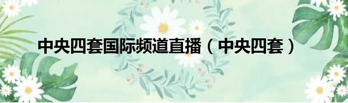 中央四套国际频道直播（中央四套）