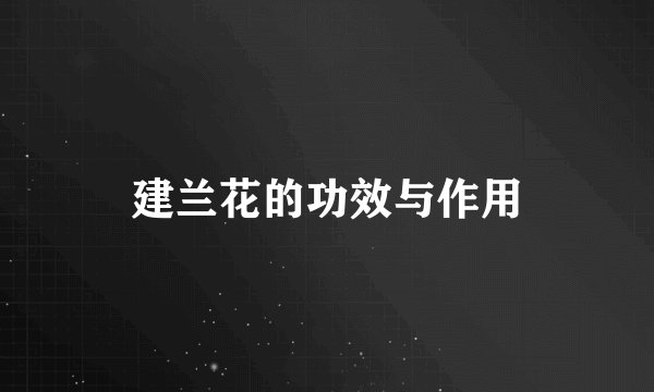 建兰花的功效与作用