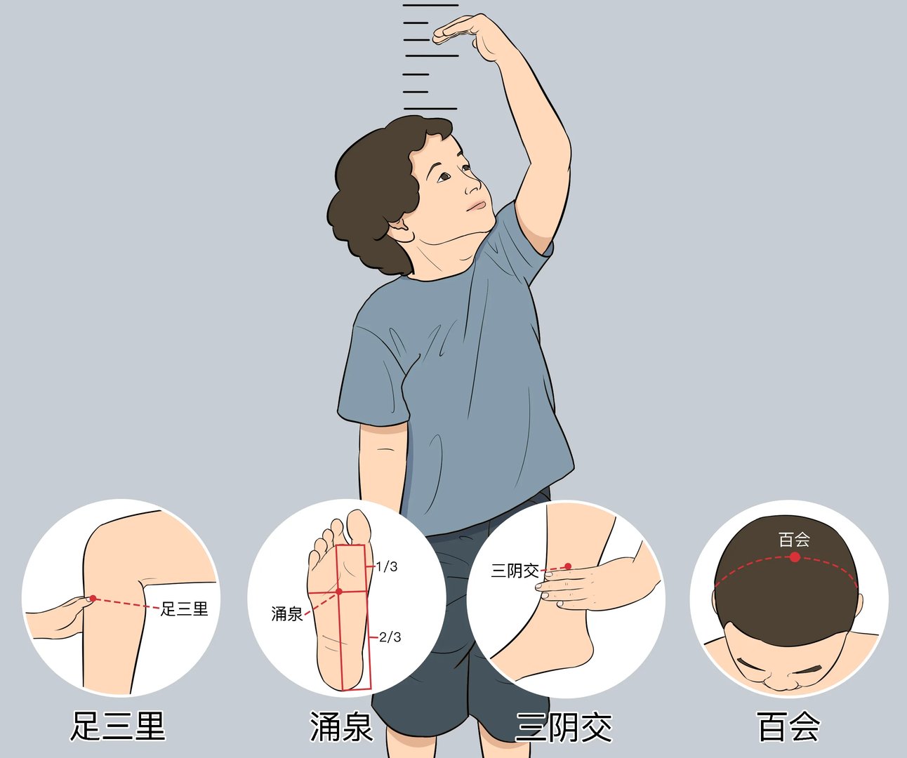 可以长高的穴位