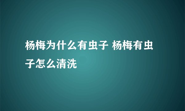 杨梅为什么有虫子 杨梅有虫子怎么清洗