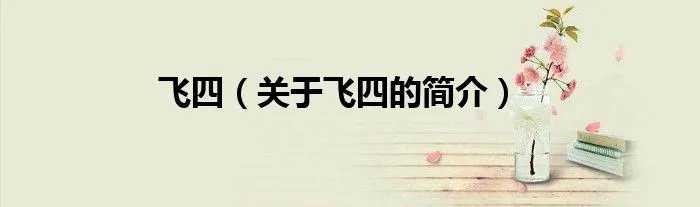 飞四（关于飞四的简介）