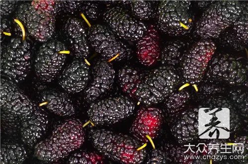  什么人不能吃桑葚