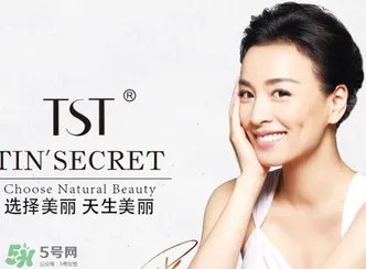 TST是哪个国家的牌子？TST是国内还是国外的品牌？