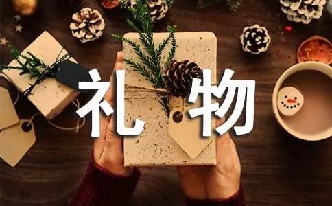 珍贵的礼物作文400字