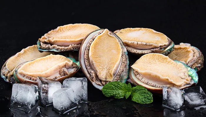 鲍鱼吃哪些部位 鲍鱼应该吃哪些部位