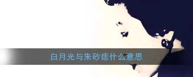 白月光与朱砂痣什么意思