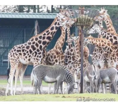 儿童节怎么过？