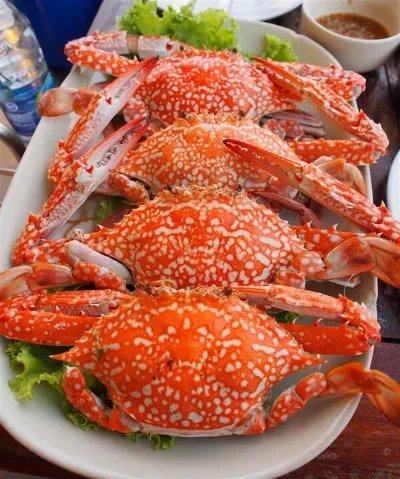 海螃蟹要蒸多久才能蒸熟