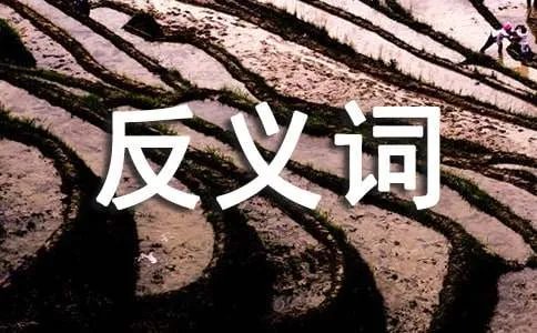 孤芳自赏的反义词是什么