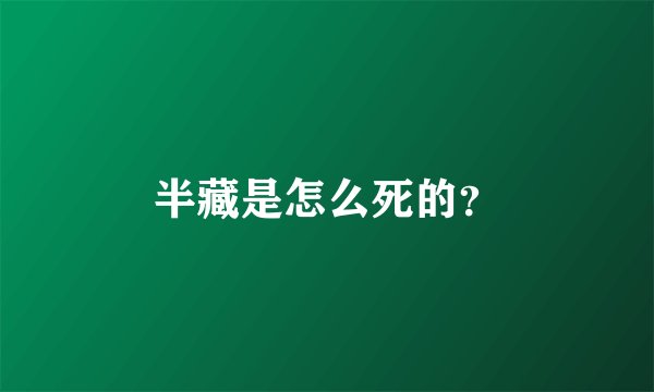 半藏是怎么死的?