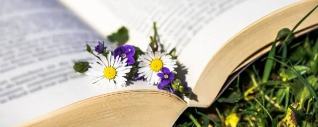 于心不忍啥意思