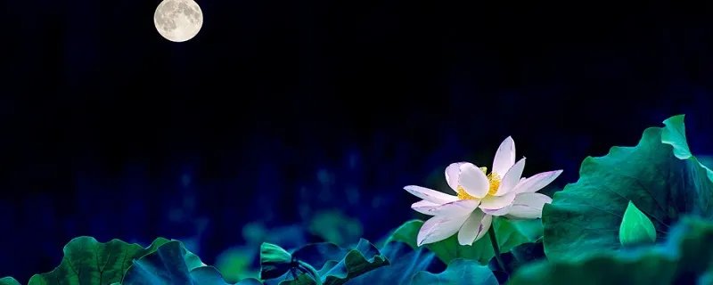 荷塘月色歌词 荷塘月色歌词完整版