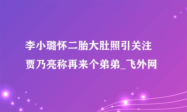 李小璐怀二胎大肚照引关注 贾乃亮称再来个弟弟_飞外网
