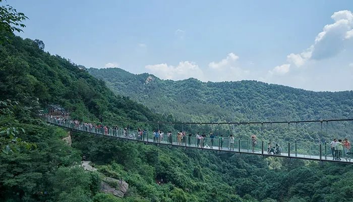 世界上面积最大的平原是什么 世界上面积最大的平原是哪一个平原