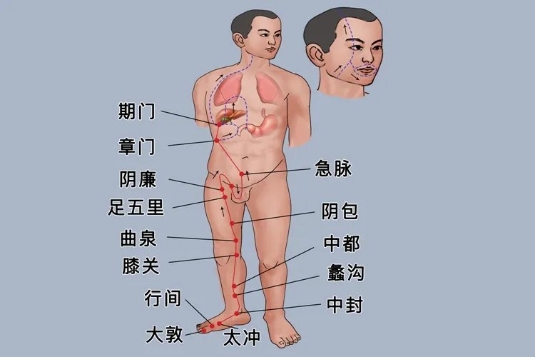 人体足部按摩经络位置图