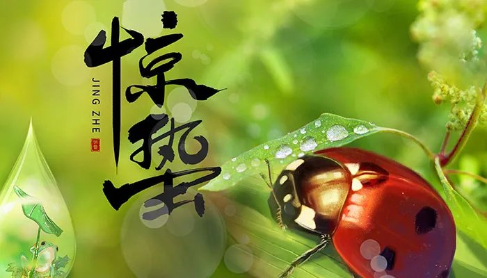 惊蛰节气的特点和风俗 惊蛰民俗活动