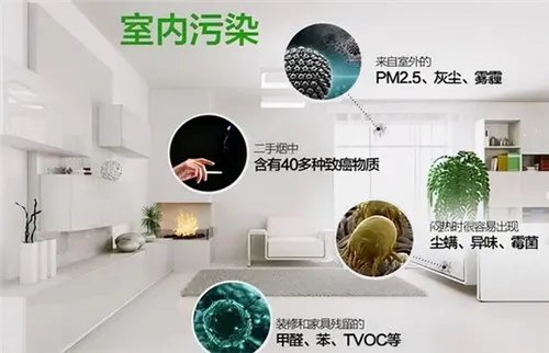 房子装修后多久可以入住