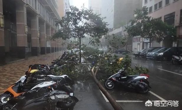 盐城历史台风纪录