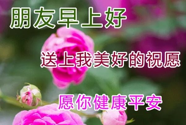 最近刚出的早上好图片:2022最新最全的早上好图片(带祝福语)