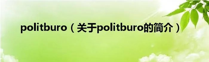 politburo（关于politburo的简介）