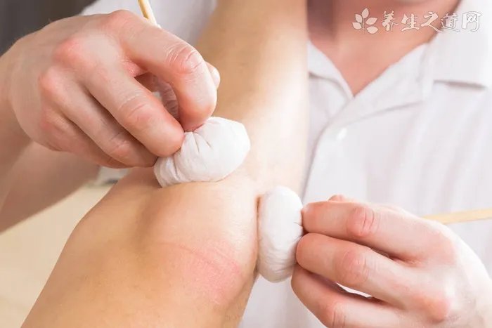 白茅针的功效与作用