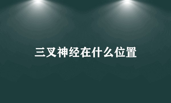 三叉神经在什么位置