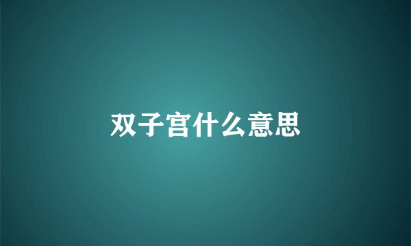 双子宫什么意思