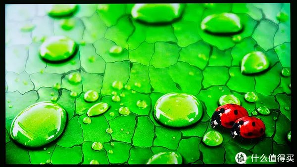 飞利浦电视机怎么样