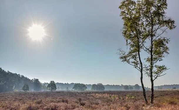 立秋是什么意思啊