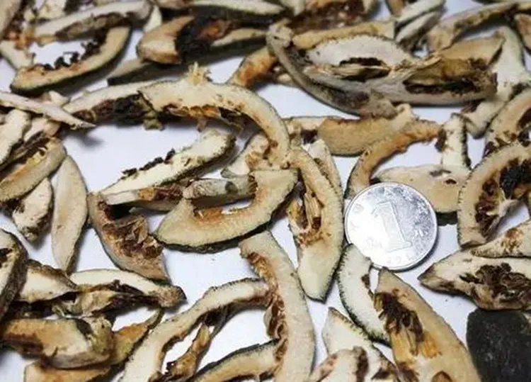 枳壳的功效与作用